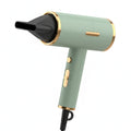 Professional Salon Ionic Hair Dryer Powerful